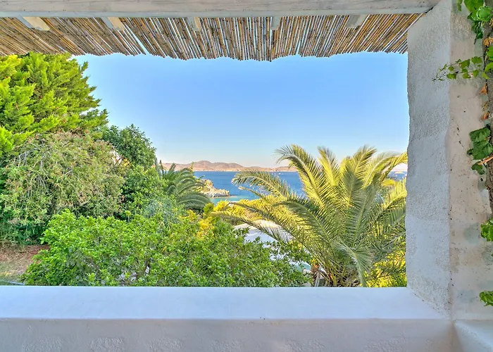 9 Muses Exclusive 4*